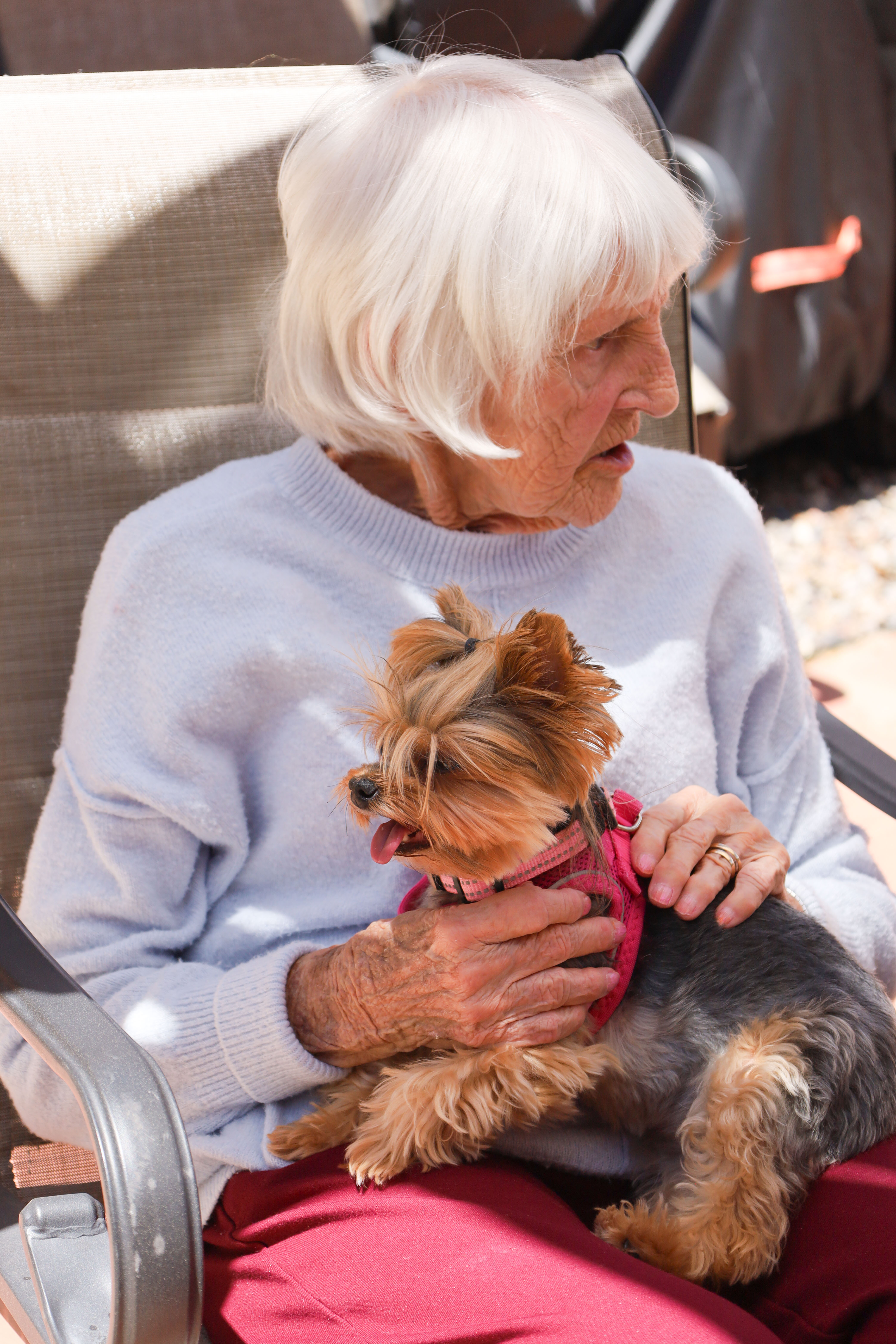 Residents and caregivers sharing an everyday moment at Casita Senior Living