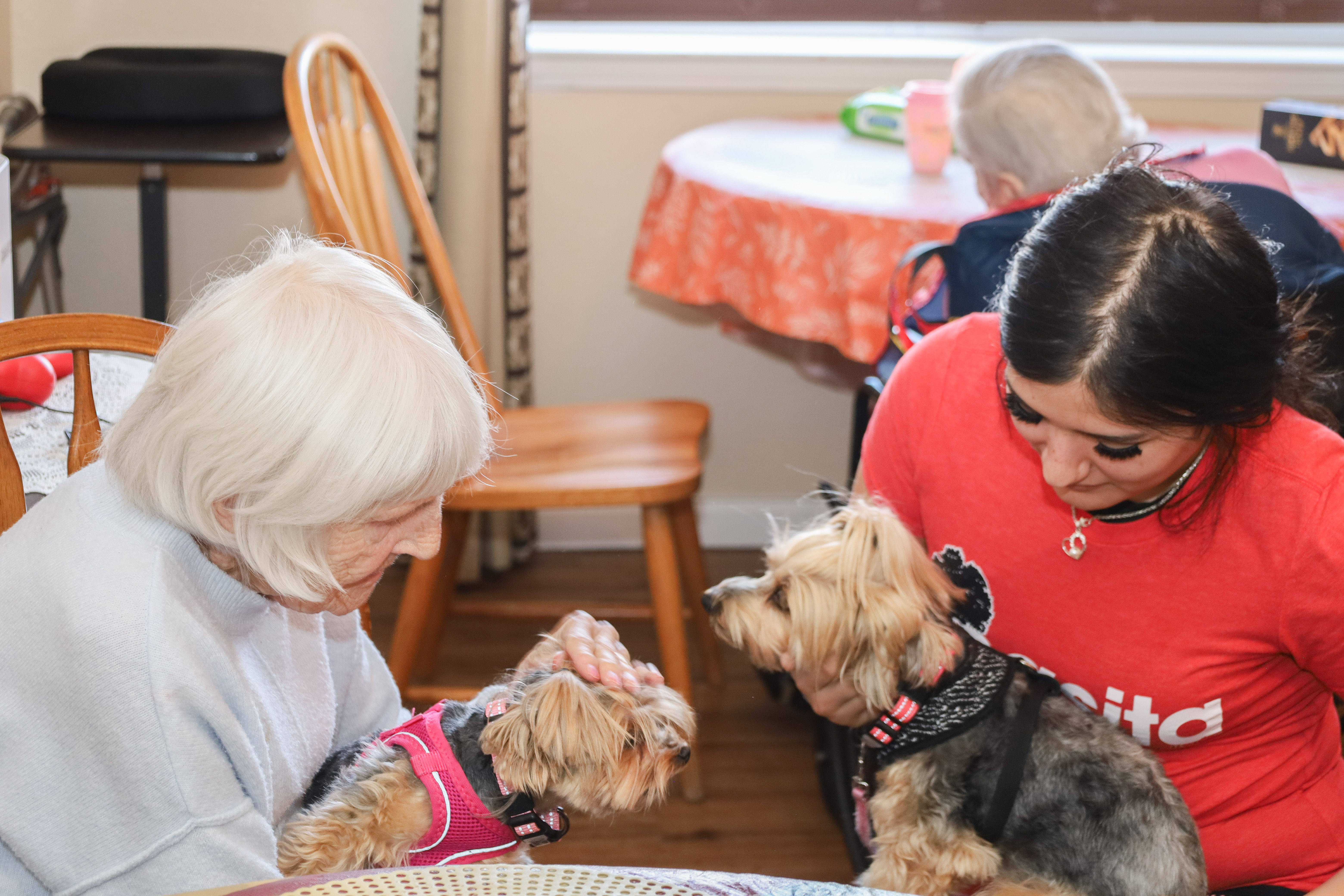Residents and caregivers sharing an everyday moment at Casita Senior Living